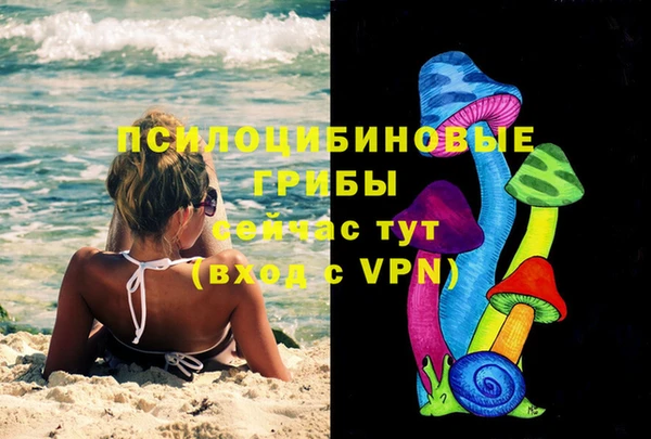 дмт Заволжск