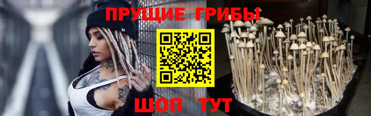 Галлюциногенные грибы Cubensis  Вход с VPN  Унеча 
