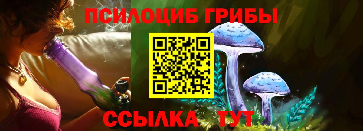 Галлюциногенные грибы прущие грибы Унеча